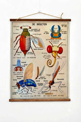 De insecten