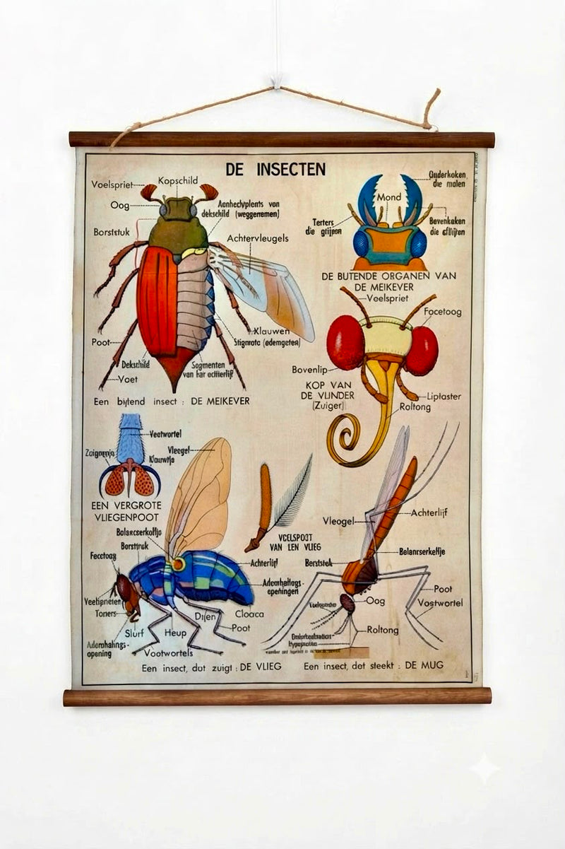 De insecten